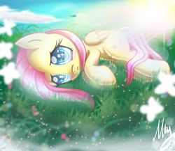 Size: 2650x2300 | Tagged: safe, artist:opal_radiance, derpibooru import, fluttershy, rainbow dash, butterfly, pegasus, pony, blushing, cloud, crepuscular rays, cute, duo, female, folded wings, grass, lens flare, looking at you, lying down, mare, on side, outdoors, sad, sadorable, shiny eyes, shyabetes, solo focus, sparkly eyes, wingding eyes, wings