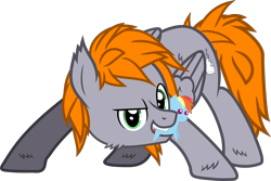 Size: 3706x2481 | Tagged: safe, artist:lincolnbrewsterfan, derpibooru exclusive, derpibooru import, rainbow dash, oc, oc only, oc:dreamy orange, pegasus, pony, .svg available, 2022 community collab, butt fluff, cheek fluff, cutie mark, derpibooru community collaboration, determined smile, dreamworks face, ear fluff, ears, face down ass up, fluffy, folded wings, gray, green eyes, grin, high res, hoof fluff, inkscape, looking at you, male, mouth hold, orange (color), pegasus oc, plushie, pointy ponies, simple background, smiling, smiling at you, stallion, stance, standing, svg, transparent background, vector, wing fluff, wings