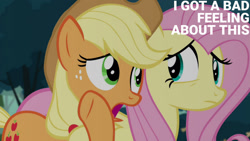 Size: 1280x720 | Tagged: safe, derpibooru import, edit, edited screencap, editor:quoterific, screencap, applejack, fluttershy, earth pony, pegasus, pony, maud pie (episode), season 4, applejack's hat, clothes, cowboy hat, female, hat, mare, open mouth