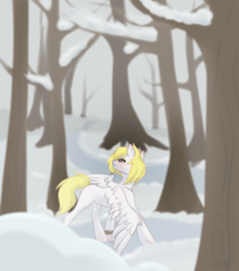 Size: 1900x2160 | Tagged: artist needed, safe, derpibooru import, oc, oc only, oc:ludwig, oc:ludwig von leeb, pegasus, pony, forest, glasses, male, snow, solo, stallion, tree, wings, winter