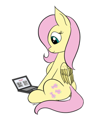 Size: 1476x1766 | Tagged: safe, artist:wapamario63, fluttershy, pegasus, pony, female, flat colors, laptop computer, mare, shitposting, simple background, sitting, solo, transparent background, wings