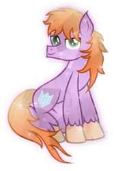 Size: 6089x8941 | Tagged: safe, artist:lincolnbrewsterfan, derpibooru exclusive, derpibooru import, oc, oc only, oc:crystal saint, crystal pony, pony, .svg available, 2022 community collab, absurd resolution, covering, crystalline, derpibooru community collaboration, inkscape, looking at you, male, shield, simple background, sitting, smiling, smiling at you, snow, snowflake, solo, stallion, stallion oc, svg, tail, tail covering, tail curled, transparent background, unshorn fetlocks, vector