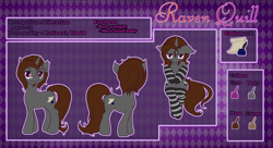 Size: 2000x1090 | Tagged: safe, artist:renatethepony, derpibooru import, oc, oc:raven quill, pony, unicorn, clothes, horn, male, reference sheet, socks, stallion, striped socks, unicorn oc