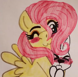 Size: 1280x1268 | Tagged: safe, artist:gtrombetta, derpibooru import, angel bunny, fluttershy, pegasus, pony, rabbit, :3, animal, blushing, cute, eyes closed, one eye closed, shyabetes, traditional art