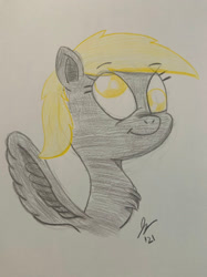 Size: 1280x1707 | Tagged: safe, artist:jesslmc16, derpibooru import, derpy hooves, pegasus, pony, art, chest fluff, colored, colored pencil drawing, drawing, solo, traditional art