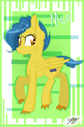 Size: 2000x3000 | Tagged: safe, artist:herusann, derpibooru import, oc, oc only, pony, abstract background, eyelashes, signature, smiling, wings