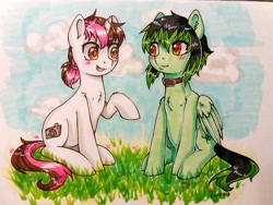 Size: 2560x1920 | Tagged: safe, artist:rosha-krieger, derpibooru import, oc, oc:vetta, pegasus, pony, unicorn, collar, sitting, smiling, traditional art