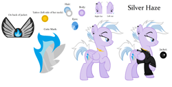 Size: 2480x1264 | Tagged: safe, artist:feather_bloom, derpibooru import, oc, oc only, oc:silver haze(kaitykat), reference sheet, simple background, solo, the steel wings, white background