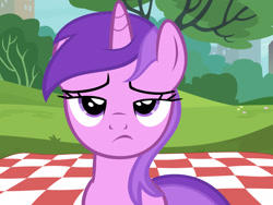 Size: 1920x1440 | Tagged: safe, artist:iscord, artist:yenshin, derpibooru import, edit, edited screencap, screencap, amethyst star, sparkler, pony, unicorn, the gift of the maud pie, the mysterious mare do well, amethyst star is not amused, disappointed, disapproval, expression, female, grass, horn, lidded eyes, looking at you, mare, meme, nope, outdoors, picnic, picnic blanket, ponyville, reaction image, seriously, solo, tree, unamused, unimpressed, unimpressed amethyst star, vector, vector edit