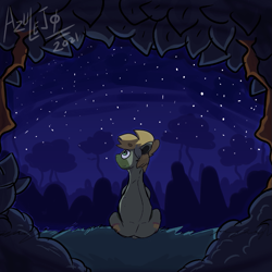 Size: 823x824 | Tagged: safe, artist:azulejo, derpibooru import, oc, oc only, oc:bastian, earth pony, pony, earth pony oc, forest, forest background, looking at the sky, looking up, male, night, rear view, request, sitting, solo, stallion, stars