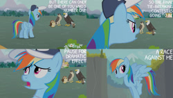 Size: 1280x720 | Tagged: safe, derpibooru import, edit, edited screencap, editor:quoterific, screencap, rainbow dash, bat, bird, eagle, owl, pegasus, pony, may the best pet win, season 2, butt, cap, female, hat, mare, open mouth, plot