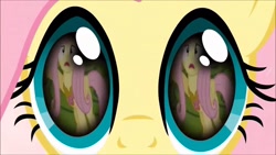 Size: 1280x720 | Tagged: safe, derpibooru import, screencap, fluttershy, pegasus, pony, magical mystery cure, a true true friend, element of kindness, eye reflection, flashback, reflection, solo