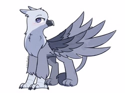 Size: 4096x3036 | Tagged: safe, artist:kittyrosie, derpibooru import, oc, oc only, griffon, griffon oc, solo