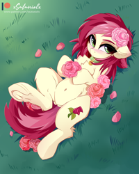 Size: 4000x5000 | Tagged: safe, alternate version, artist:xsatanielx, derpibooru import, roseluck, earth pony, pony, belly button, blushing, chest fluff, collar, cute, cuteluck, ear fluff, ears, female, flower, grass, looking at you, lying down, mare, on back, rcf community, rose, rosepet, solo, underhoof