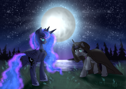 Size: 2828x2000 | Tagged: safe, artist:not-ordinary-pony, derpibooru import, princess luna, shadow lock, alicorn, unicorn, cloak, clothes, commission, moon, night, scar, sky