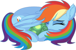 Size: 866x572 | Tagged: safe, artist:cyanlightning, derpibooru exclusive, derpibooru import, rainbow dash, tank, pegasus, pony, tortoise, .svg available, backwards cutie mark, cuddling, cute, dashabetes, duo, ear fluff, ears, eyes closed, female, folded wings, male, mare, mlp fim's eleventh anniversary, multicolored hair, multicolored mane, multicolored tail, rainbow hair, rainbow tail, simple background, sleeping, snuggling, tail, transparent background, vector, wings