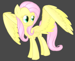 Size: 733x593 | Tagged: safe, artist:pixels-and-ponies, derpibooru import, fluttershy, pony, gray background, simple background, solo