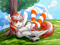 Size: 1947x1466 | Tagged: safe, artist:twilight-minkowski, derpibooru import, oc, oc only, oc:speedyflame, alicorn, pony, car, clothes, cute, female, lying down, mare, socks, solo, striped socks, tree