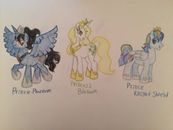 Size: 2828x2121 | Tagged: safe, artist:gibina4ever, derpibooru import, oc, oc:prince knight shield, oc:prince phantom, oc:princess blossom, alicorn, adopted offspring, alicorn oc, horn, next generation, offspring, parent:king sombra, parent:princess cadance, parent:princess celestia, parent:princess luna, parent:shining armor, parents:shiningcadance, traditional art, wings