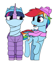 Size: 1400x1588 | Tagged: safe, artist:dacaoo, derpibooru import, rainbow dash, twilight sparkle, twilight sparkle (alicorn), alicorn, pegasus, pony, clothes, duo, duo female, female, hat, scarf, simple background, transparent background