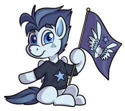 Size: 789x701 | Tagged: safe, artist:transformartive, edit, editor:edits of hate, editor:unofficial edits thread, oc, oc only, oc:silver span, pegasus, pony, clothes, flag, pegasus flag, shirt, simple background, solo, t-shirt, white background