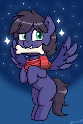 Size: 1122x1672 | Tagged: safe, artist:heretichesh, derpibooru import, oc, oc only, pegasus, pony, behaving like a dog, bone, clothes, flying, mouth hold, scarf, solo, stars