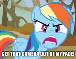 Size: 645x500 | Tagged: safe, artist:thegamerpainter, derpibooru import, edit, edited screencap, screencap, rainbow dash, pegasus, pony, season 5, tanks for the memories, angry, anti-bronybait, caption, chowder, cropped, female, image macro, looking at you, mare, mung daal, open mouth, ragebow dash, rainbow dash is best facemaker, reference, solo, teeth, text