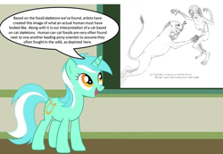 Size: 1284x888 | Tagged: safe, derpibooru import, lyra heartstrings, cat, human, pony, unicorn, fossil, human studies101 with lyra, meme