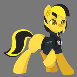 Size: 2000x2000 | Tagged: safe, artist:ignacio, derpibooru import, oc, oc only, oc:thunderbolt sentinel, earth pony, pony, clothes, ear fluff, ears, earth pony oc, full body, golden eyes, gray background, high res, lineless, raised hoof, raised leg, simple background, solo, standing, tail, two toned mane, two toned tail