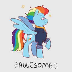 Size: 1080x1080 | Tagged: safe, artist:aylufujo, derpibooru import, rainbow dash, pegasus, pony, clothes, female, gray background, mare, older, older rainbow dash, raised hoof, raised leg, simple background, smiling, solo, wings