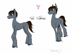 Size: 4000x2992 | Tagged: safe, derpibooru import, oc, oc only, earth pony, pony, signature, simple background, solo, transgender, unshorn fetlocks, white background