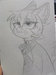 Size: 1620x2160 | Tagged: safe, artist:dodsie, derpibooru import, oc, oc only, earth pony, ear fluff, ears, female, mare, monochrome, pencil drawing, sitting, solo, traditional art