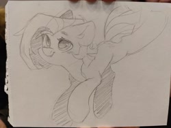 Size: 2560x1925 | Tagged: safe, artist:dodsie, derpibooru import, oc, oc only, earth pony, pony, female, mare, monochrome, pencil drawing, solo, traditional art