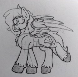 Size: 2707x2674 | Tagged: safe, artist:drheartdoodles, derpibooru import, oc, oc only, oc:dr.heart, pegasus, chest fluff, clydesdale, male, smiling, spread wings, stallion, traditional art, walking, wings