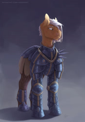 Size: 1600x2300 | Tagged: safe, artist:yarugreat, derpibooru import, oc, earth pony, pony, armor, female, mare, solo