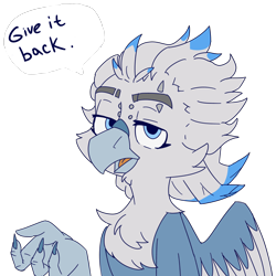 Size: 5000x5000 | Tagged: safe, artist:xasslash, derpibooru import, oc, oc only, oc:flynn the icecold, griffon, cheek fluff, chest fluff, embarrassed, eyebrow piercing, piercing, simple background, solo, text, transparent background