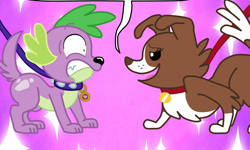 Size: 1542x926 | Tagged: source needed, safe, artist:mlpegasis4898, spike, spike the regular dog, winona, dog, equestria girls, bedroom eyes, comic, cropped, dog tags, female, leash, looking at each other, male, nervous, out of context, shipping, show accurate, spiked collar, spinona, straight