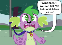 Size: 1582x1163 | Tagged: source needed, safe, artist:mlpegasis4898, spike, dog, equestria girls, comic, cropped, dialogue, implied winona, leash, speech bubble