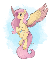 Size: 1818x2217 | Tagged: safe, artist:birdoffnorth, derpibooru import, fluttershy, pegasus, pony, cheek fluff, chest fluff, colored hooves, colored wings, colored wingtips, female, flying, high res, looking away, looking to side, looking to the left, mare, solo, spread wings, two toned wings, unshorn fetlocks, wings
