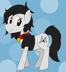 Size: 1568x1704 | Tagged: safe, alternate version, artist:soccy, derpibooru exclusive, derpibooru import, oc, oc only, oc:double m, earth pony, pony, bell, bell collar, black mane, black tail, blue background, brown eyes, circle background, clothes, collar, cutie mark, earth pony oc, jacket, looking at you, male, simple background, smiling, smiling at you, solo, stallion, tail, white coat