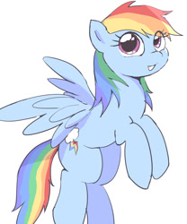 Size: 1000x1200 | Tagged: safe, artist:leo19969525, derpibooru import, rainbow dash, pegasus, pony, eye clipping through hair, female, mare, simple background, smiling, spread wings, white background, wings