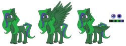 Size: 6472x2371 | Tagged: safe, artist:tizhonolulu, derpibooru import, oc, oc only, oc:brocc, pegasus, cheek fluff, chest fluff, reference, reference sheet, simple background, solo, transparent background, unshorn fetlocks, wings