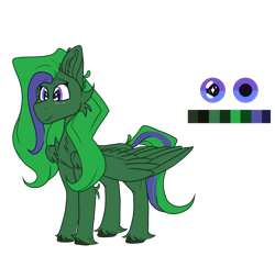 Size: 2545x2371 | Tagged: safe, artist:tizhonolulu, derpibooru import, oc, oc only, oc:brocc, pegasus, cheek fluff, chest fluff, ear fluff, ears, reference, reference sheet, simple background, solo, transparent background, unshorn fetlocks, wings