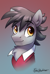 Size: 2000x3000 | Tagged: safe, artist:jedayskayvoker, derpibooru import, oc, oc only, oc:vectored thrust, pony, bust, chest fluff, clothes, colored pupils, ear fluff, ears, eyebrows, eyebrows visible through hair, fluffy, gradient background, high res, icon, looking at you, male, patreon, patreon reward, portrait, shirt, smiling, smiling at you, solo, stallion