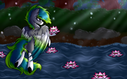 Size: 4000x2511 | Tagged: safe, artist:beamybutt, derpibooru import, oc, oc only, pegasus, pony, colored wings, ear fluff, ears, flying, male, outdoors, pegasus oc, river, solo, stallion, two toned wings, wings