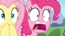 Size: 1080x608 | Tagged: safe, derpibooru import, edit, edited screencap, screencap, fluttershy, pinkie pie, the maud couple