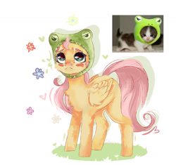 Size: 1280x1203 | Tagged: safe, artist:colorbrush, derpibooru import, fluttershy, frog, pegasus, pony, blushing, chest fluff, cute, female, flower, hat, heart, irl photo, mare, ponified animal photo, shyabetes, solo, tumblr nose