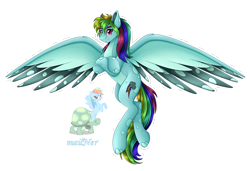 Size: 5860x4008 | Tagged: safe, artist:mailner, derpibooru import, rainbow dash, tank, pegasus, pony, tortoise, absurd resolution, crossed arms, female, flying, fusion, grin, looking at you, male, mare, redesign, simple background, smiling, solo, spread wings, transparent background, white outline, wings