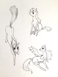 Size: 768x1024 | Tagged: safe, artist:aliwoodruff, derpibooru import, earth pony, pegasus, pony, unicorn