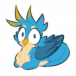 Size: 2048x2048 | Tagged: safe, artist:berrysoda10, derpibooru import, gallus, griffon, behaving like a cat, catbird, catloaf, cute, gallabetes, high res, looking at you, lying down, male, no pupils, prone, simple background, solo, white background